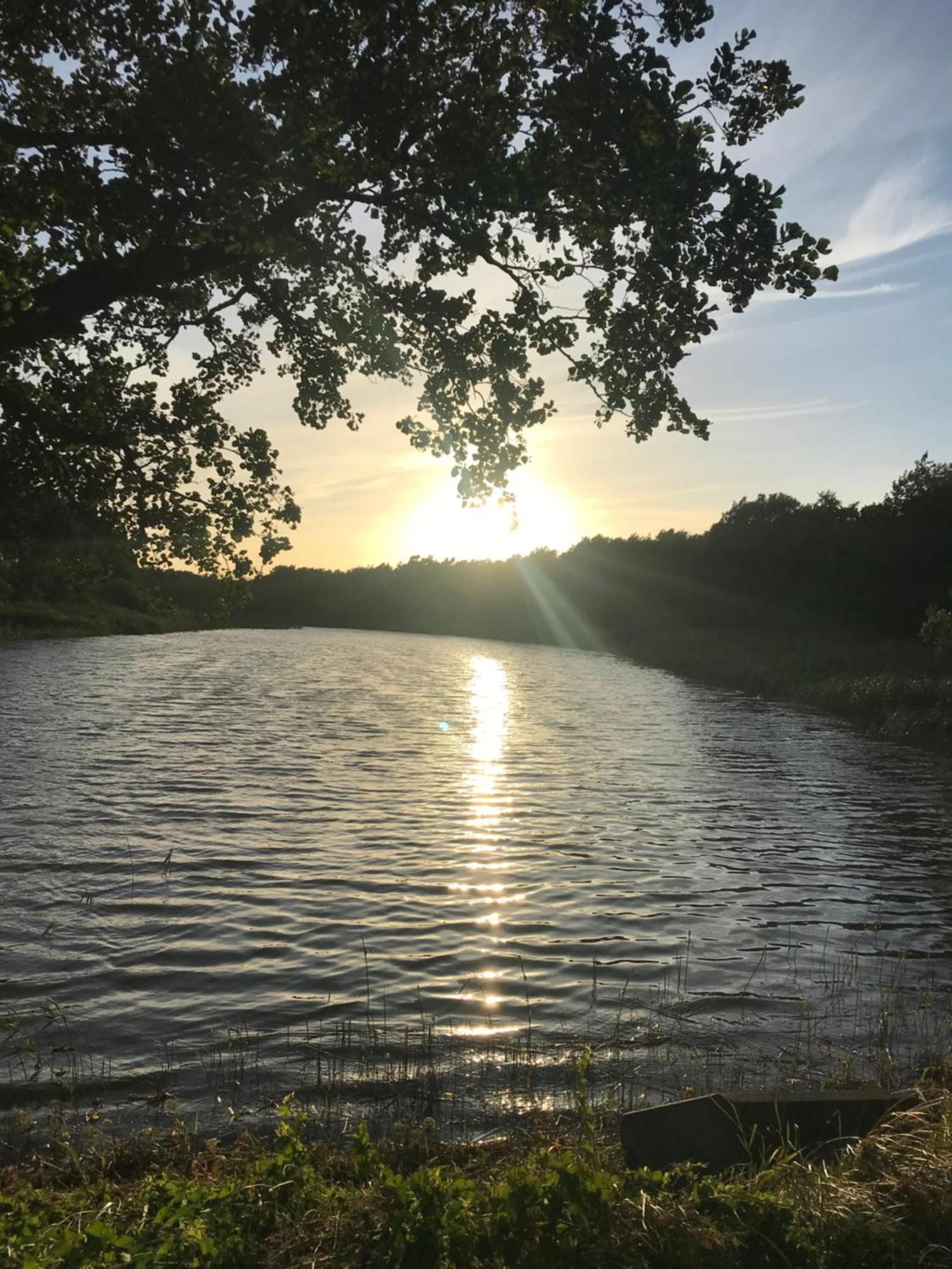 Sonnenwind Daire Prerow Dış mekan fotoğraf